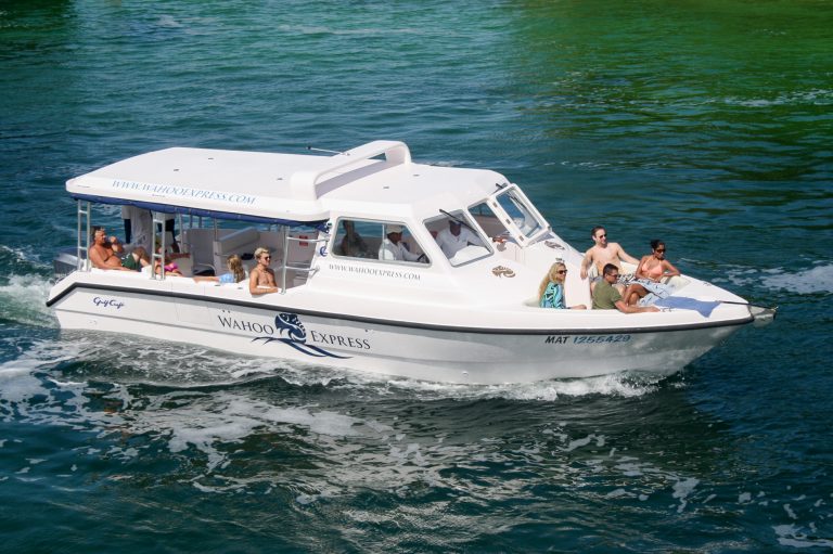 Дневная экскурсия Touring 36 в Кункуне, Мексика 