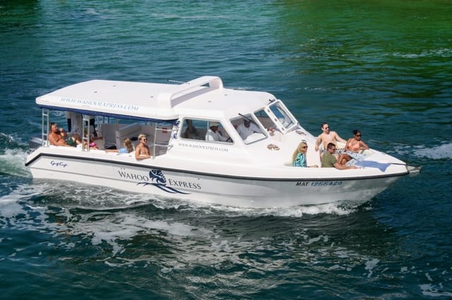 جولة على متن القارب تورينغ 36 في كانكون بالمكسيك 