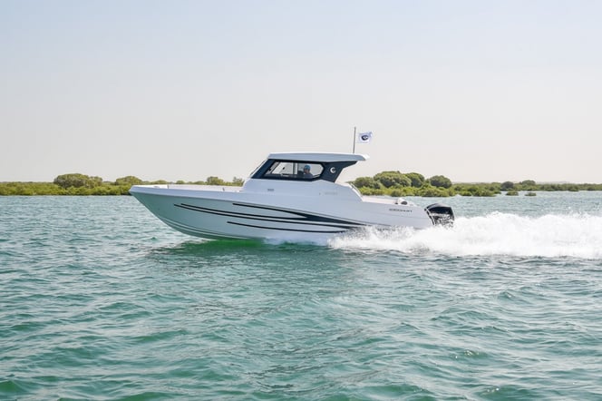 Silvercraft 31 HT (2)