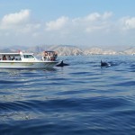 Touring 36 in Musandam