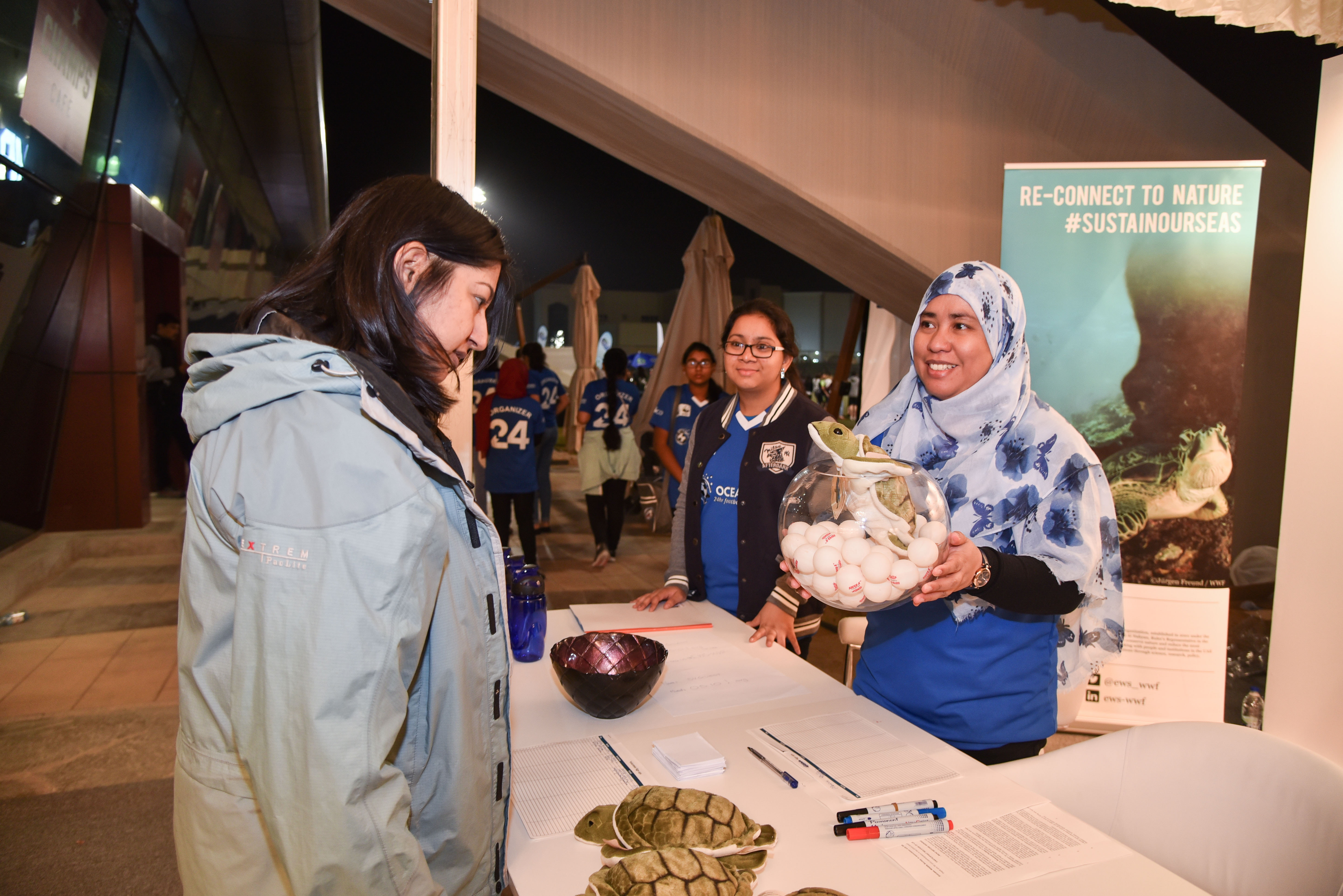 Guess the number of turtle eggs in the bowl?