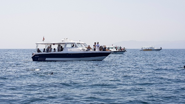 Touring 36 in Oman (5).jpg