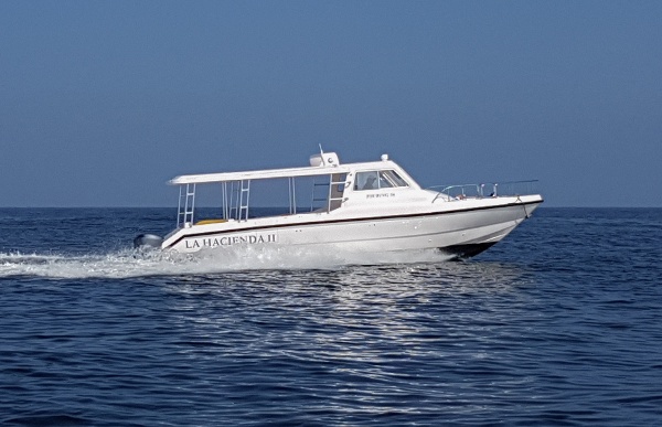 Touring 36 in Lima, Peru.jpg